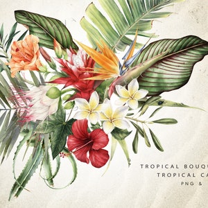 Tropical bouquets and cards, Watercolor tropical clipart PNG, Hand painted, Digital print