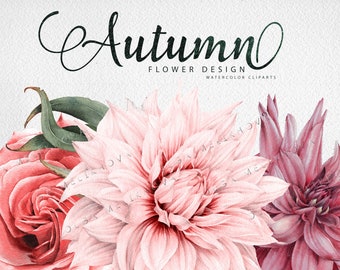 Flores de otoño, paquete de cliparts florales de acuarela PNG, descarga digital instantánea de acuarela floral