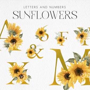 Lettres et chiffres, alphabet tournesol, alphabet floral, alphabet rose mariage clipart PNG