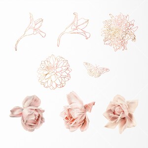 May include: A set of gold and pink floral illustrations featuring a butterfly, roses, and various flower types. The illustrations are perfect for adding a touch of elegance to any project.