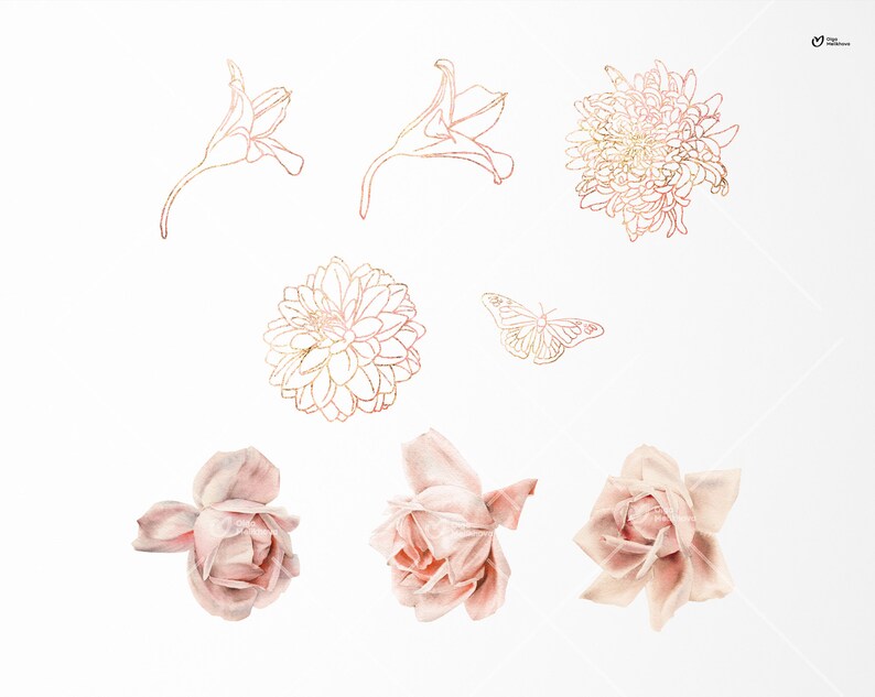 May include: A set of gold and pink floral illustrations featuring a butterfly, roses, and various flower types. The illustrations are perfect for adding a touch of elegance to any project.