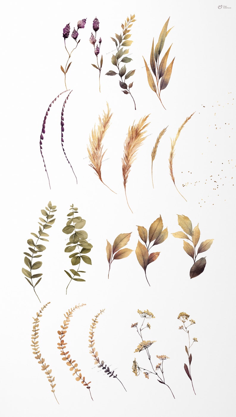 May include: Watercolor illustrations of various botanical elements, including sprigs of purple flowers, brown and green leaves, and beige grasses. The illustrations are on a white background.