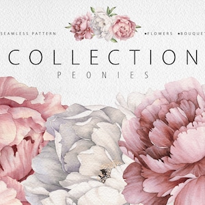 Collezione di peonie. Motivo floreale senza cuciture con peonie. Design del modello di carta digitale per tessuti, interni, vestiti, carta da parati.