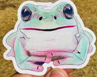 Whites Tree Frog Sticker