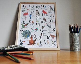 ABC of the birds of the world