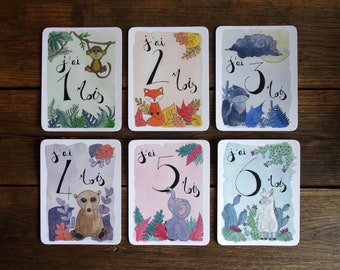 Tarjetas ilustradas de hitos del bebé: “Mi primer año en fotos”