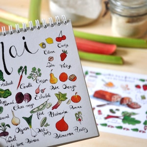 May include: A white spiral bound notebook with the word "Mai" written in black cursive. The notebook is filled with hand-drawn illustrations of fruits and vegetables, with their names written in French below each image. The fruits and vegetables include cherries, lemons, strawberries, asparagus, cauliflower, cabbage, radishes, pears, oranges, apples, and rhubarb.