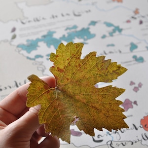 Carte des vignobles de France - impression d'art image 9