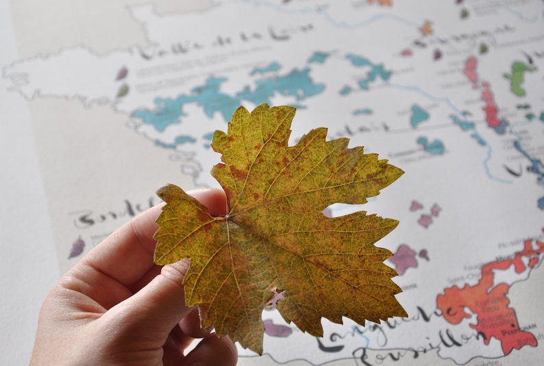 Carte des vignobles de France - impression d'art image 9