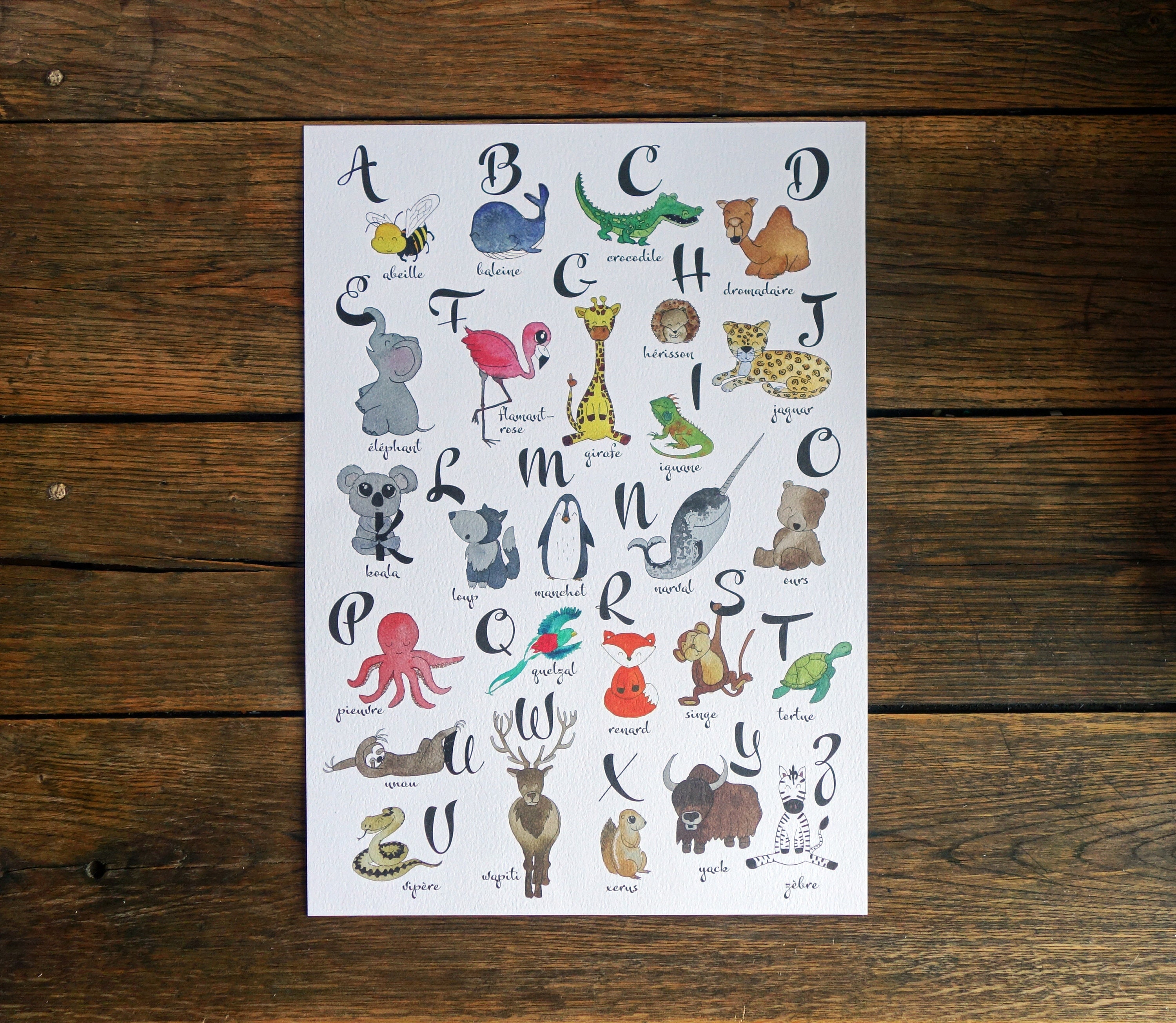 Abécédaire Des Animaux