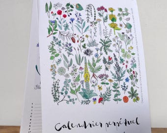Perpetual calendar - birthday calendar - medicinal plants