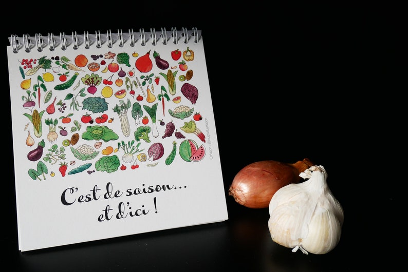 May include: A white calendar with a colorful illustration of various fruits and vegetables. The calendar has a spiral binding and the text "C'est de saison... et d'ici!" printed on the bottom. A brown onion and a white garlic bulb are in the foreground.