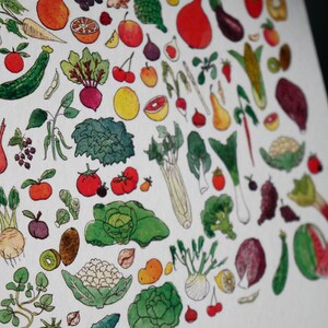 May include: A watercolor illustration of a variety of fruits and vegetables, including apples, oranges, lemons, grapes, pears, strawberries, cherries, tomatoes, carrots, corn, onions, garlic, and more. The illustration is in a circular pattern and is set against a white background.