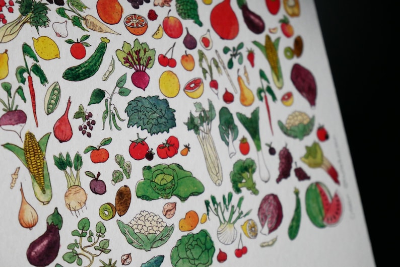 May include: A watercolor illustration of a variety of fruits and vegetables, including apples, oranges, lemons, grapes, pears, strawberries, cherries, tomatoes, carrots, corn, onions, garlic, and more. The illustration is in a circular pattern and is set against a white background.