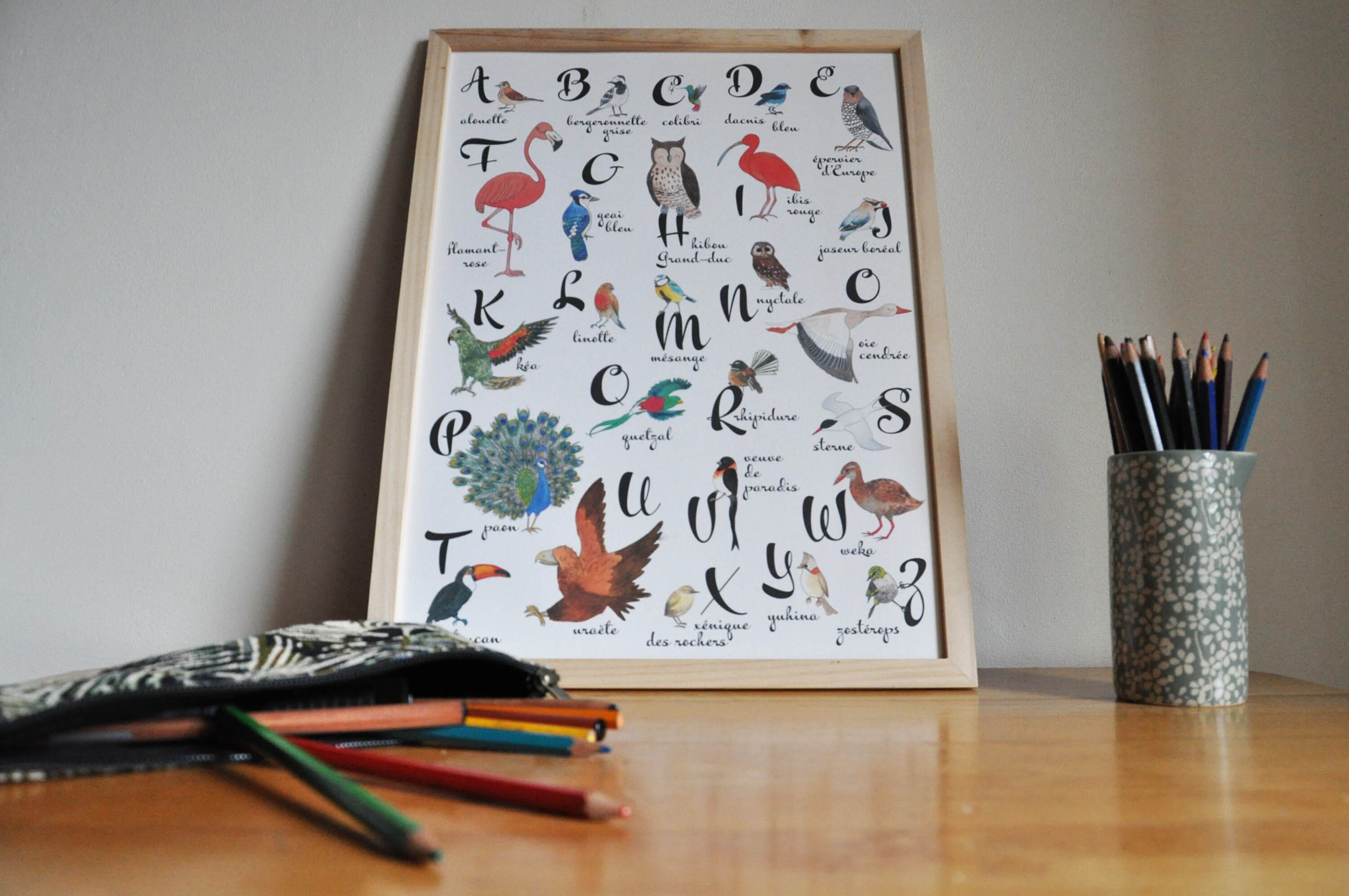 Abécédaire Des Oiseaux Du Monde