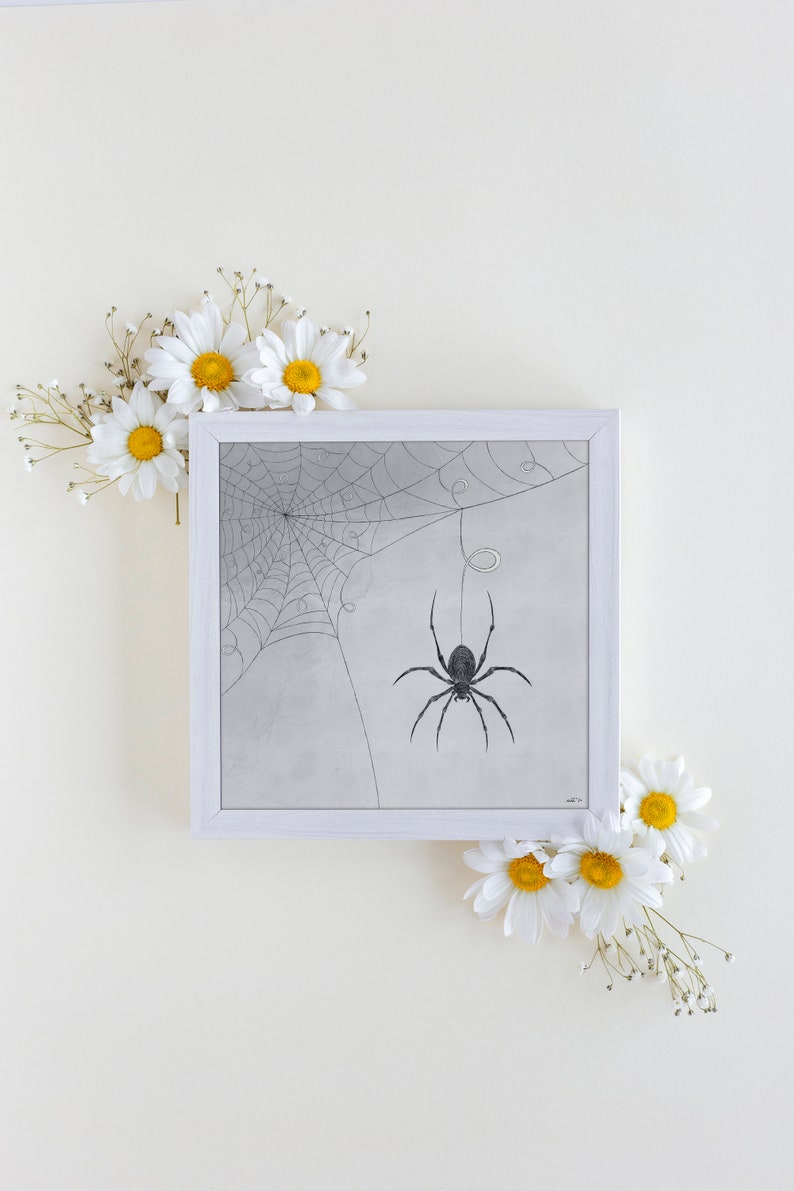 Spider Print // Printable Wall Art Spider Wall Decor Line Art Downloadable Print Minimal Wall Art Instant Download Digital Print image 8