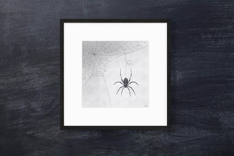 Spider Print // Printable Wall Art Spider Wall Decor Line Art Downloadable Print Minimal Wall Art Instant Download Digital Print image 1