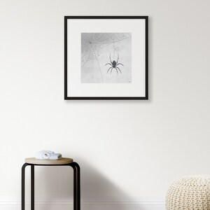 Spider Print // Printable Wall Art Spider Wall Decor Line Art Downloadable Print Minimal Wall Art Instant Download Digital Print image 4