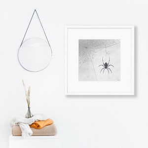 Spider Print // Printable Wall Art Spider Wall Decor Line Art Downloadable Print Minimal Wall Art Instant Download Digital Print image 3