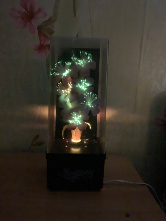 Inloggegevens Aannemer waarom Vintage fantasie glasvezel lichtdoos lamp kleur bloemen werkt - Etsy België