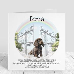 Biglietto personalizzato per la perdita del cane - Biglietto di condoglianze per il cane Spaniel - Ricordo del Ponte dell'Arcobaleno - Biglietto commemorativo per cani - Regalo per il lutto