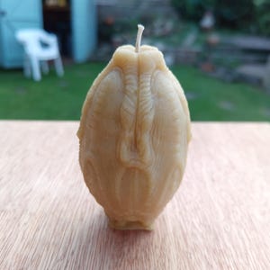 Alien Egg Candle Mould