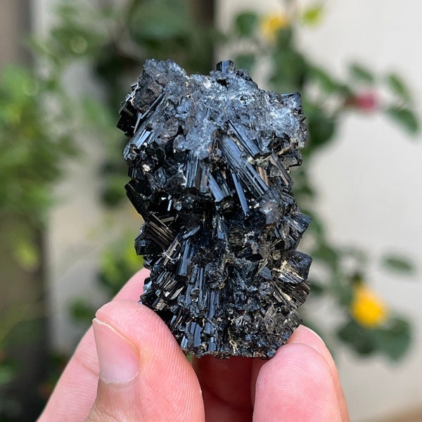 46 Gram Unique Black Tourmaline var Schrol Flower Shape Cluster Crystal Specimen