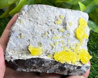 375 Gm Natural 100% Pure Yellow Splendid Brucite Specimen From Baluchistan Pakistan