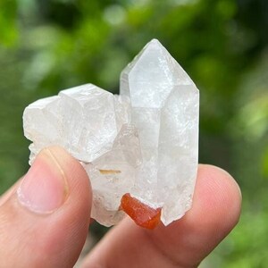 Cristal de scheelite rare de couleur orange naturelle combiné avec du quartz de la mine de Pari, minéral rare de scheelite, spécimen de scheelite - 28 grammes
