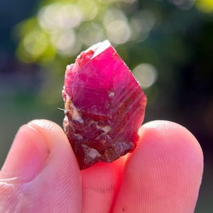 May include: A vibrant, raw ruby crystal, showcasing a deep pink hue with natural, rough textures. The gemstone is held in a hand, with a blurred green background.
