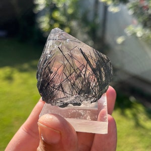Beautiful Riebeckite inclusions inside Quartz from Zagi Mountain [Head damage]