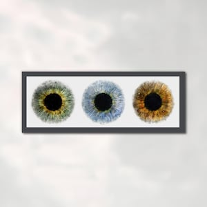 Eye art print iris art in watercolor style wide format eye doctor art prints eye doctor gift for optometrist and eye doctor resident - 103