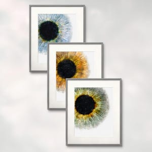 May include: Three framed wall art prints featuring close-up, detailed illustrations of human irises. Each print is encased in a thin, grey frame and displays a distinct color palette: one blue, one amber, and one green, all centered on a black pupil.