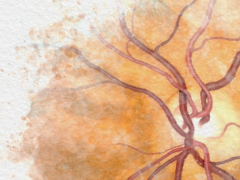 Med student gift, retina artwork, for ophthalmology medical student graduate