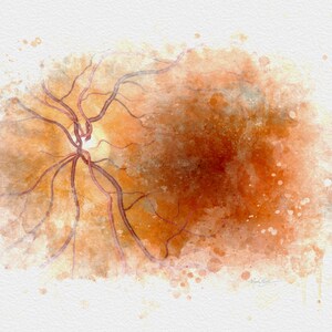 Med student gift, Macula retina eye anatomy art print, Eye doctor gift, Optometry office décor - 201 image 10