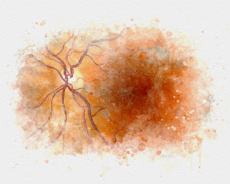 Med student gift, Macula retina eye anatomy art print, Eye doctor gift, Optometry office décor - 201 image 10