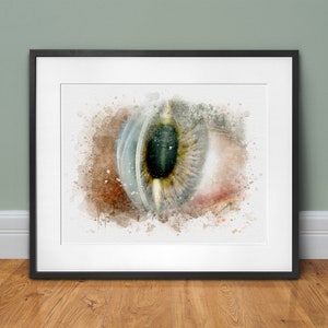 Slit lamp eye exam wall art print, optometrist graduation gift, ophthalmology and optometry wall art gift, hand-signed by the artist - 216