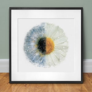 Iris art, daisy and blue iris watercolor style art print eye doctor graduation gift, ophthalmology and optometry wall décor - 039