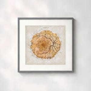 Optometry graduation gift, custom eye wall decor. Retina schematic eye art print gift for an eye doctor. Vintage style wall art - 900
