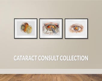 Cataract consult room decor se art prints shipped together, hand-signed giclée set of three - 10D