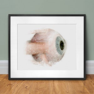 Eyeball anatomy watercolor style wall art print, Eye doctor office wall décor, eye doctor gift - 068