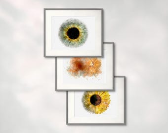 Eye Art Prints, Choose Any 3, Optometry Wall Art, Ophthalmology Office Decor Save 20%