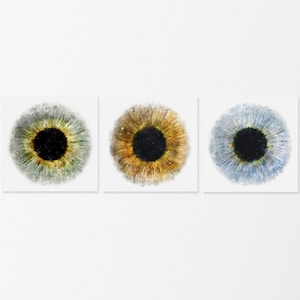 Iris Watercolor Style Eye Art – Set of 3 Giclée Prints for Optometry Office Decor - 103a
