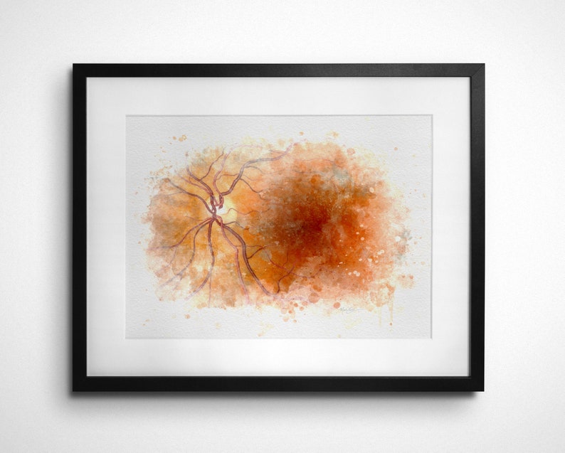 Macula retina eye art print