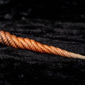 Unicorn horn for real horse 29cm L  Dark Fawn FAWN with base to attach for photoshoot / cosplay
