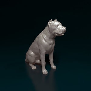 Cane Corso 4 artist resin - white resin ready to prep / paint ALL SCALES