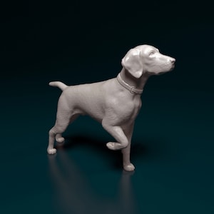 Op de afbeelding: Een wit keramisch beeld van een Duitse Korthaar die staat met zijn rechterpoot opgeheven. De hond kijkt naar rechts en heeft een halsband om.