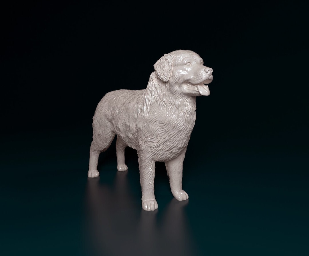犬の頭部を持つ樹脂製彫刻 バーニーズマウンテンドッグの樹脂製彫刻：塗装済みホワイトフィギュア