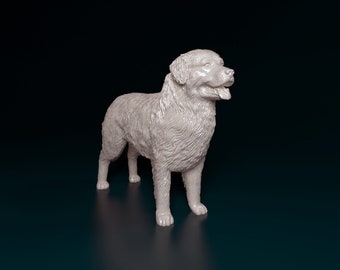 犬の頭部を持つ樹脂製彫刻 バーニーズマウンテンドッグの樹脂製彫刻：塗装済みホワイトフィギュア