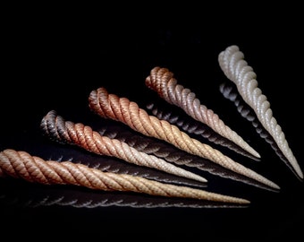 May include: Six twisted, rope-like horns in various shades of brown, beige, and white, arranged in a fan shape on a black background.